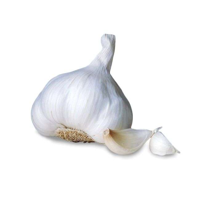 Garlic colossal jumbo - Price per Each-696-461-01