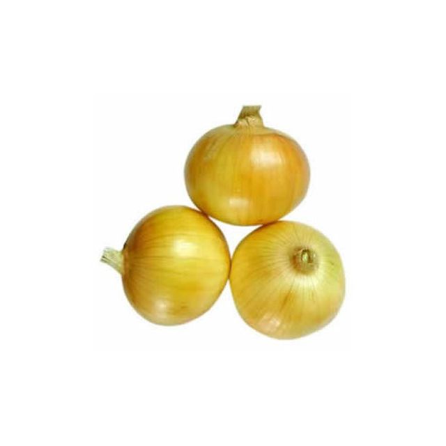 Yellow Onion (Medium - small) - Price per Each-696-461-04