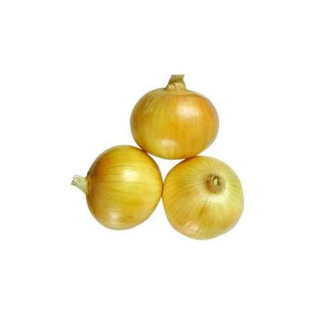 Yellow Onion (Medium - small) - Price per Each-BH148-267