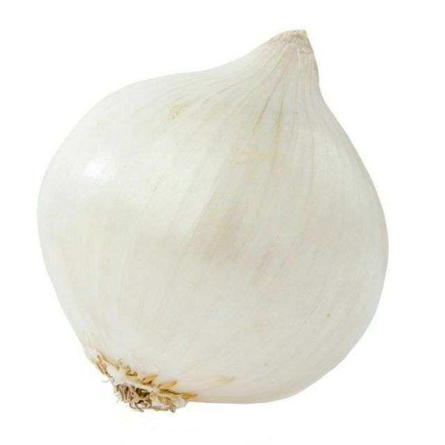 White Onion (Medium) - Price per Each-BH148-268