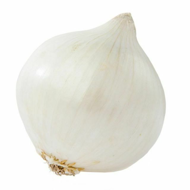 White Onion (Medium) - Price per Each-696-461-05