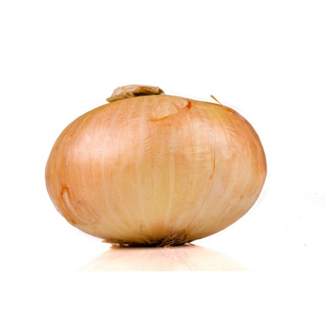 Sweet Vidalia Onion (X Large)- Price per Each-BH148-270