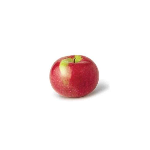 Apple Mcintosh - Price per Each-696-464-02