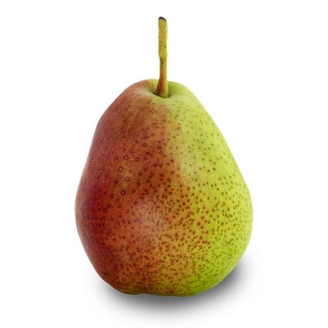 Pears Forelle - Price per Each-696-465-04
