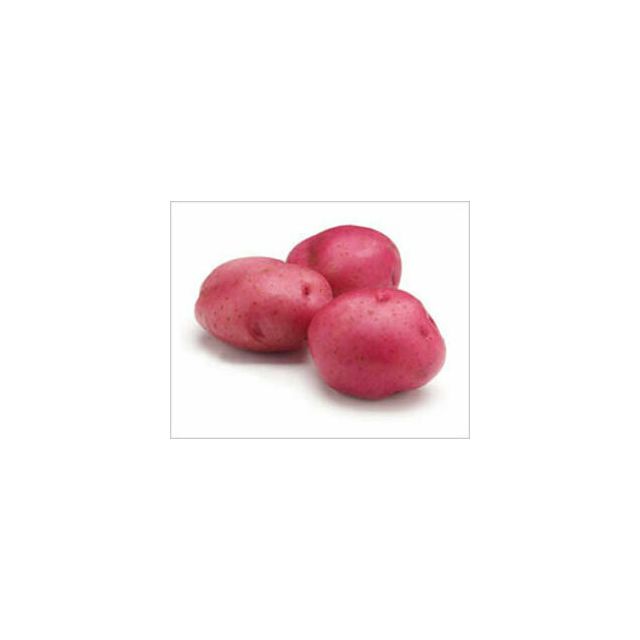California Red Potato A (Small) - Price per Each-696-466-04
