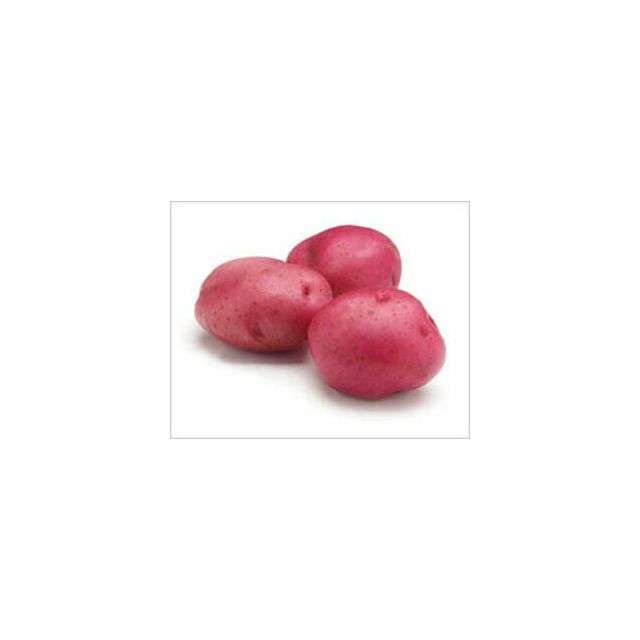 California Red Potato A (Small) - Price per Each-BH148-428