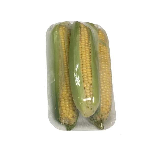 Fresh Corn Kitniyot 3 Pack-696-474-01