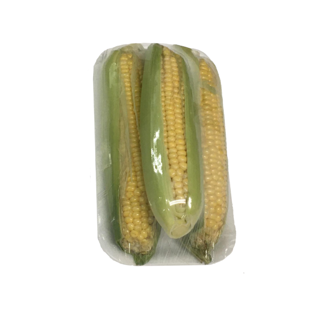 Fresh Corn Kitniyot 3 Pack-696-474-01