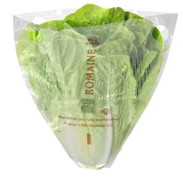 Romaine Hearts Lettuce 1 Pk-BH148-705