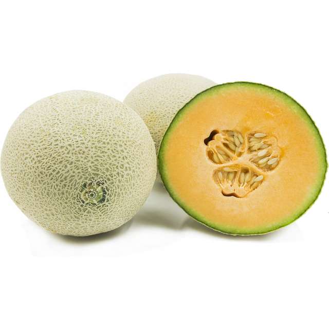 Cantaloupe Sweet Melon - Price per Each-BH148-728