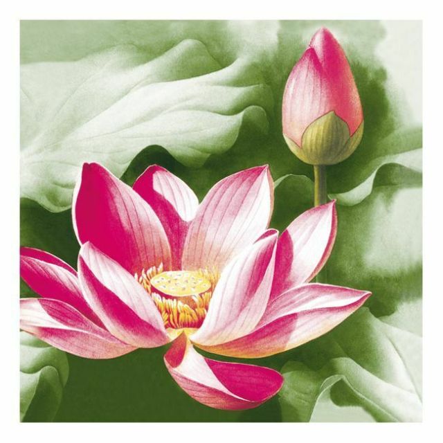 Dining Collection Lunch Napkins - Pink Lotus - 20 ct-232-600-09
