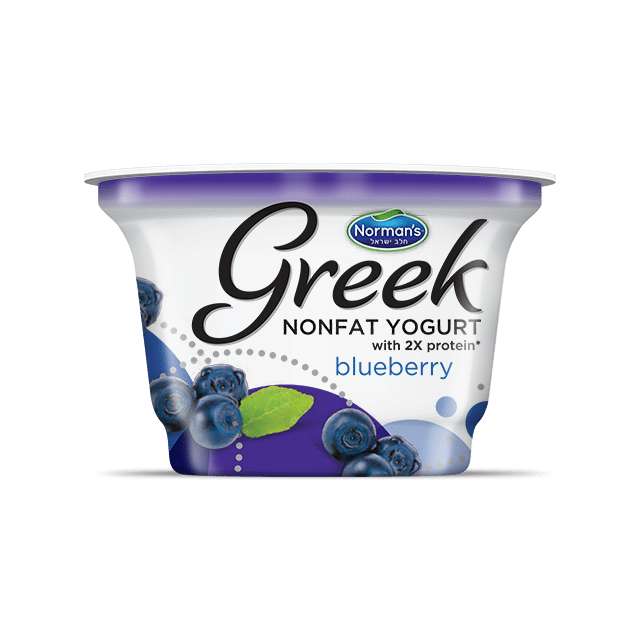 Norman's Greek Nonfat Yogurt blueberry 6 Oz-FFP-NO031