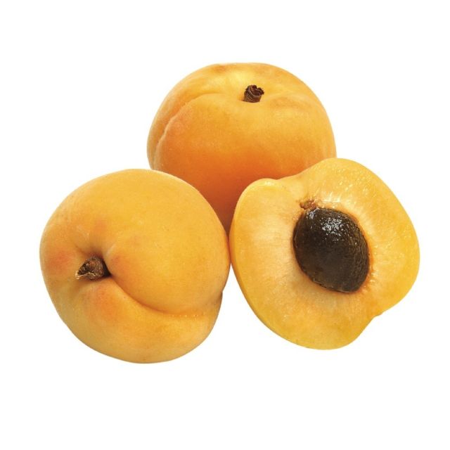 Sweet Apricots - Price per Each-696-664-01