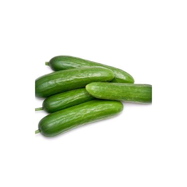 Cucumbers Canada & Mexican - Price per Each-BH148-25050