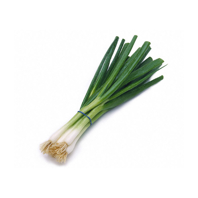 Green Onion Scallion Bunch 5-6 Pc-696-461-10