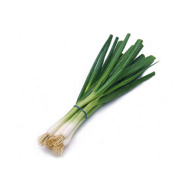Green Onion Scallion Bunch 5-6 Pc-BH148-26429