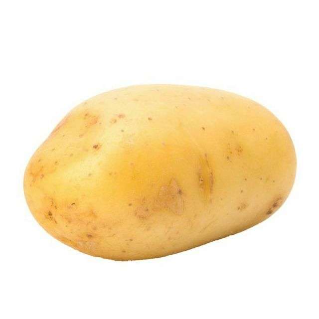 California White Potato A (Small) - Price per Each-BH148-5526