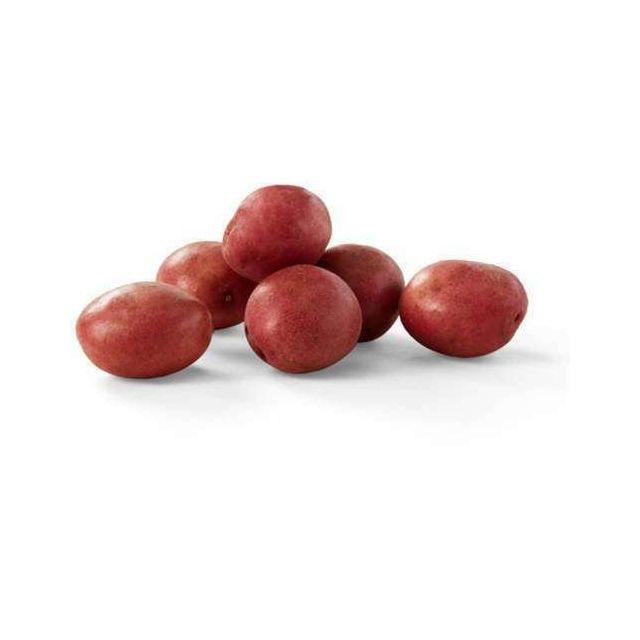 California Baby Red Potato B (X Small) - Price per Each-696-466-08