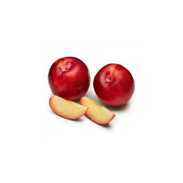 Sweet Red Plums - Price per Each-BH148-75954