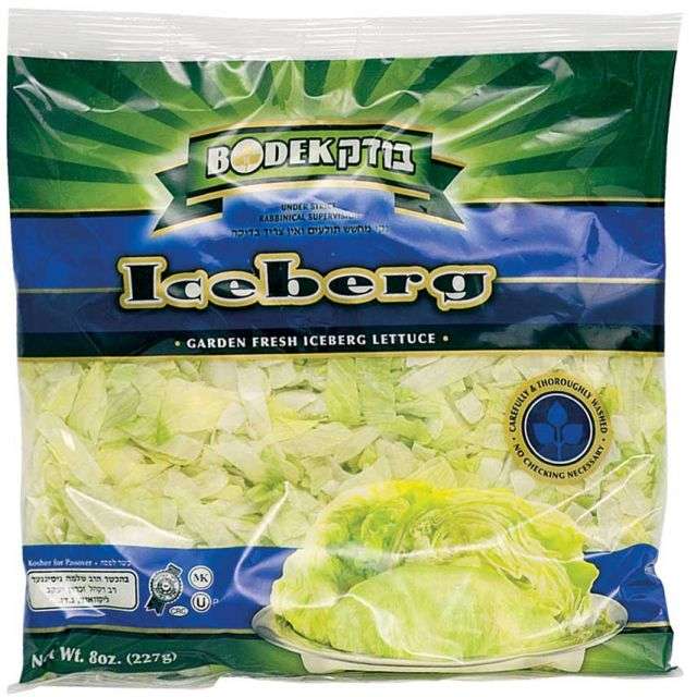 Bodek Iceberg Lettuce 8 Oz-FFP-010