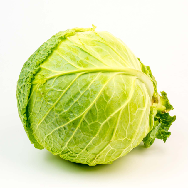 Fresh Savoy Cabbage (Medium) - Price Per Each-696-503-07