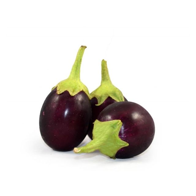 Fresh Round Indian Eggplant (X Small) - Price per Each-696-500-03