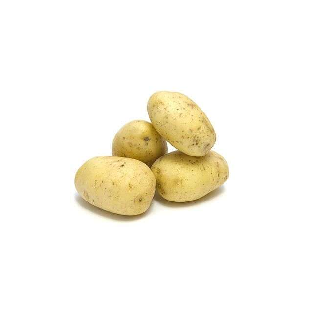 Yukon Gold Potato - Price per Each-696-466-11